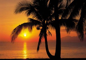 Фотообои Komar 8-255 Palmy Beach Sunrise